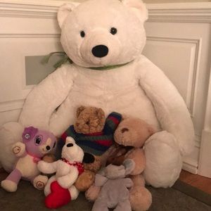 Meet your Posher, Ann